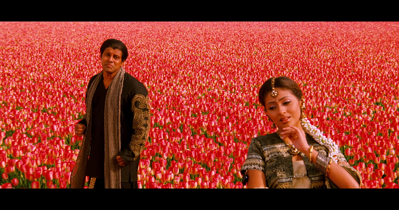 VideoCapture_20241122-200630