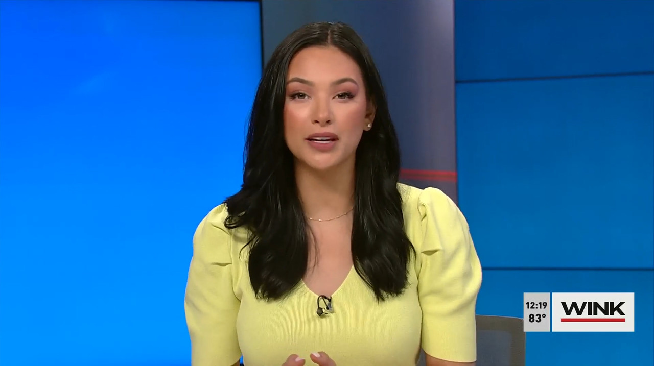 03.29 - 17.00.00 - The Wink Noon News  ᴺᵉʷ. Midday News Update.-1.mp4_snapshot_25.05.786