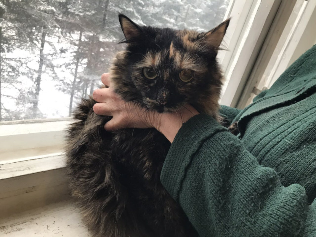 A2F6FD49-0AD5-4963-B812-3386F4E49C7C