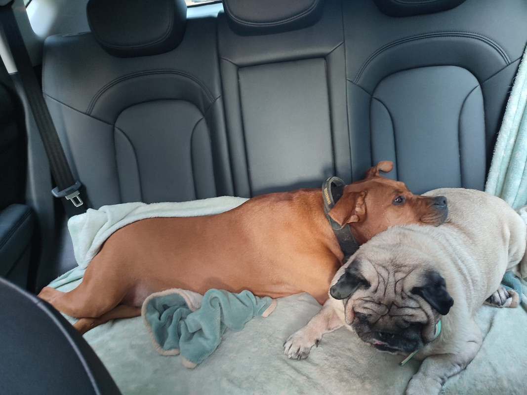 WhatsApp Image 2023-12-20 at 17.44.58 (2)