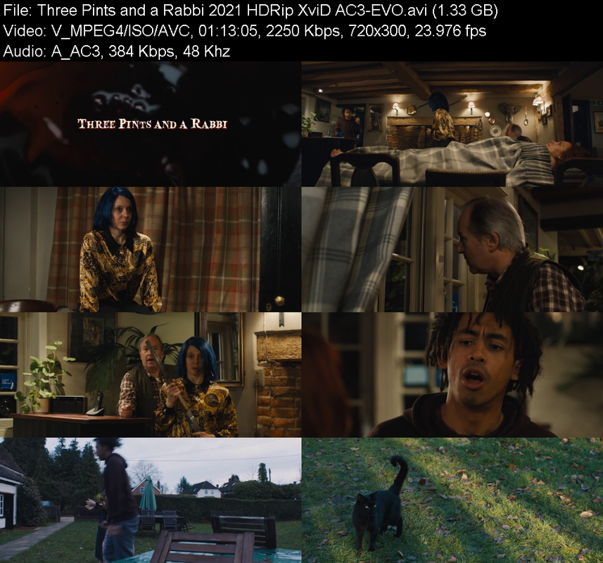 three-pints-and-a-rabbi-2021-hdrip-xvid-