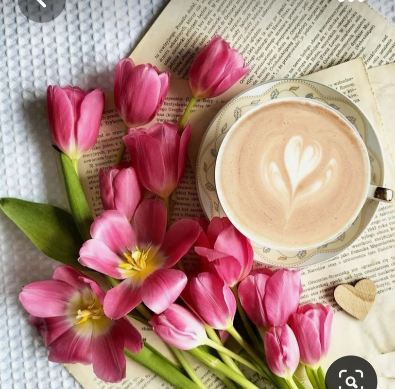 Screenshot_20230517_002926_Pinterest