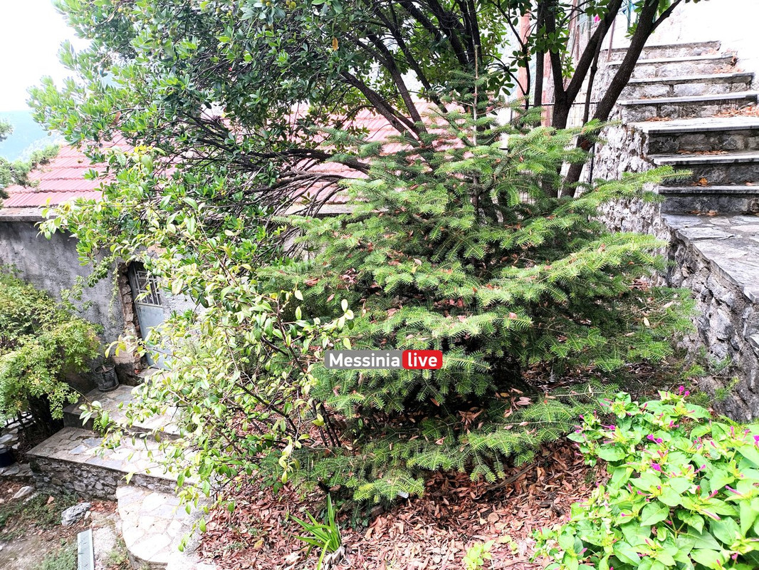 LADASIMG-20251012-131441