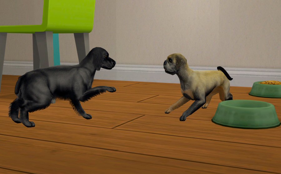 Sims2-EP9-2021-03-26-20-12-43-98