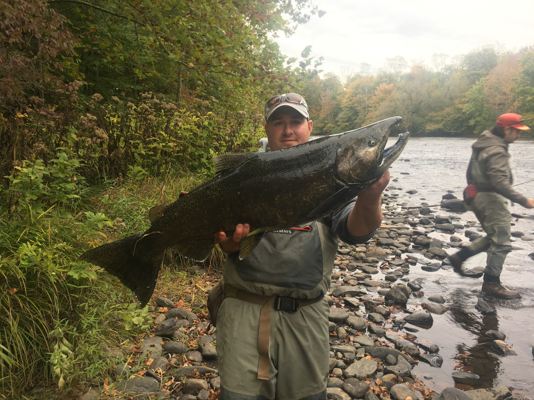 FB499412-494E-49B9-9024-1320A2FA6387