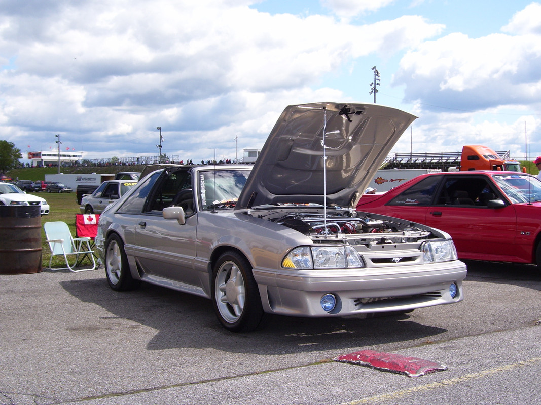 ford - Montréal Mustang: 40 ans et + d’activités! (Photos-Vidéos,etc...) - Page 19 100-0582