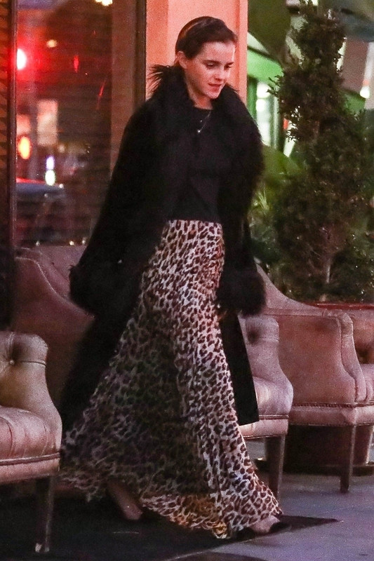 emmawatson-photogallery.blogspot.com (2)