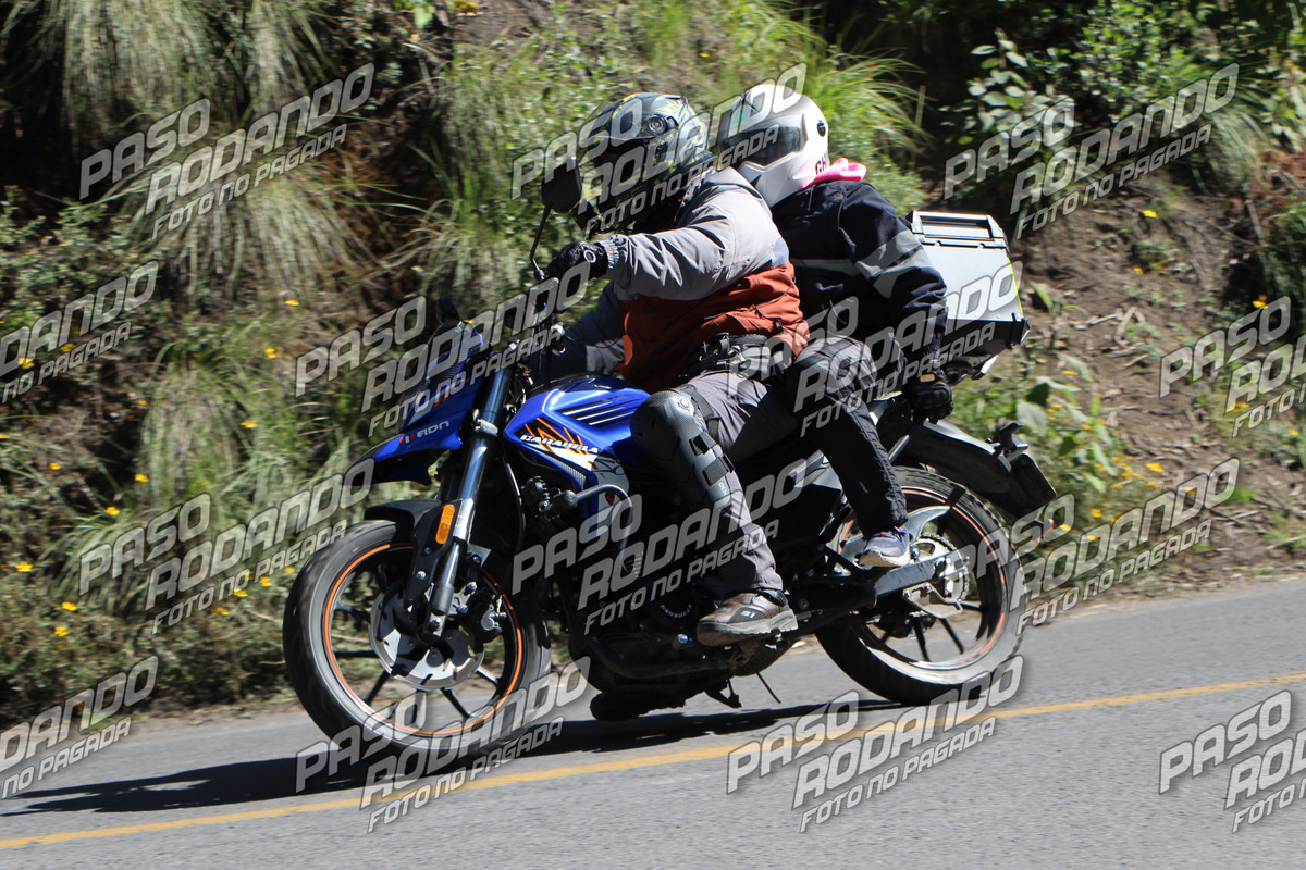 IMG 0633 wm 82758 5 watermarked — Postimages