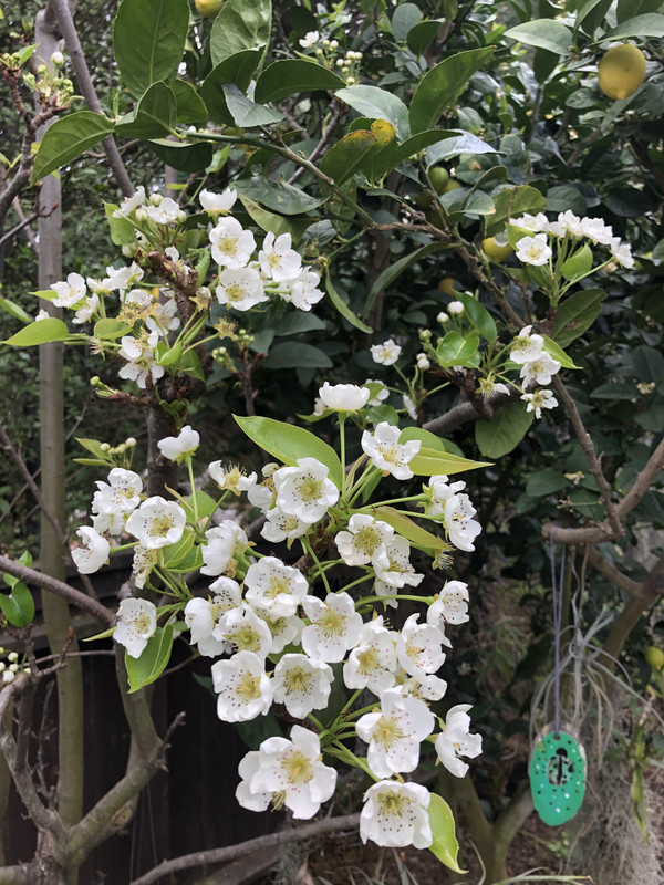 62DA29F4-B997-4CB9-B8DC-20B14C67E299