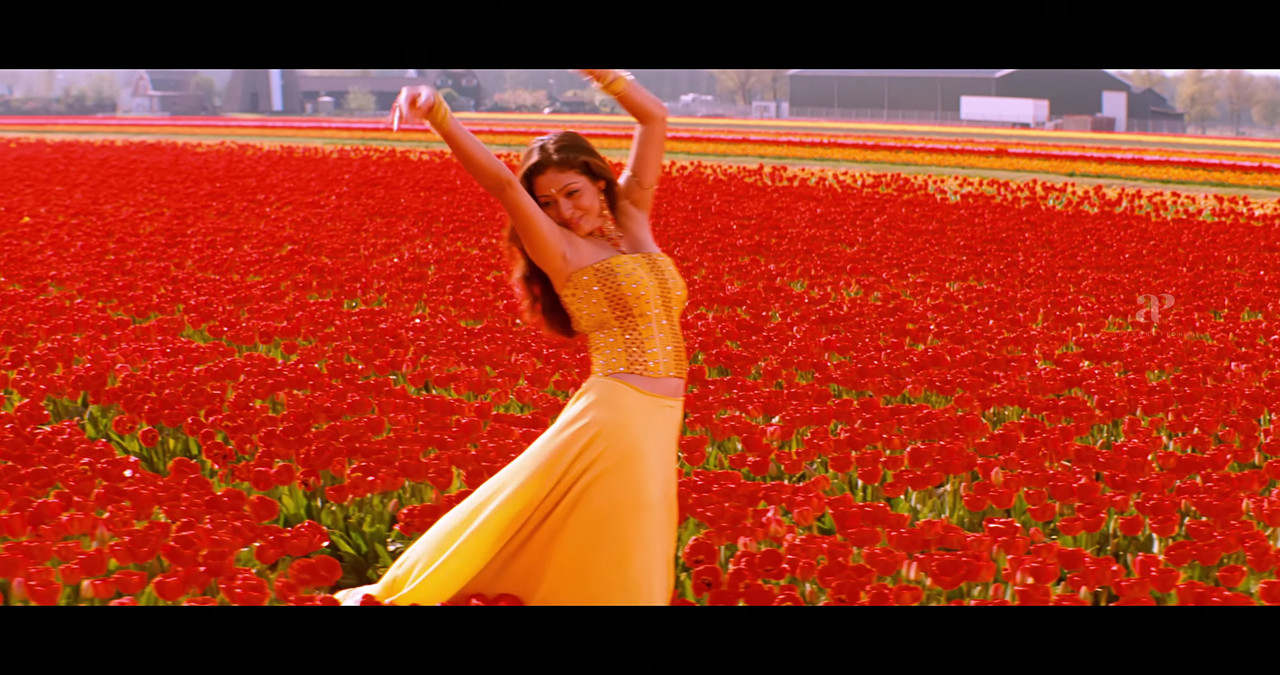 VideoCapture_20241122-200417