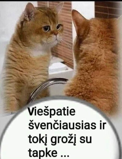 Paveikslėlis