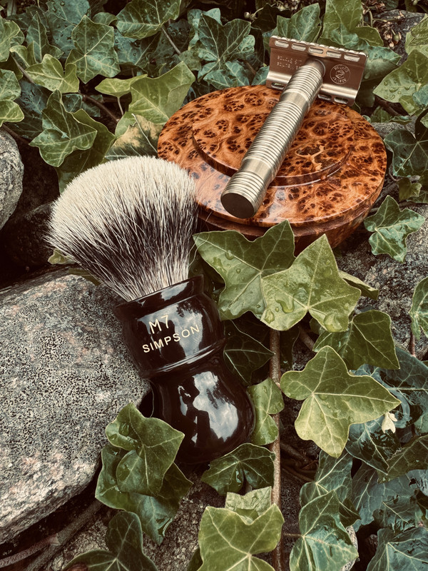 SOTD 20250802