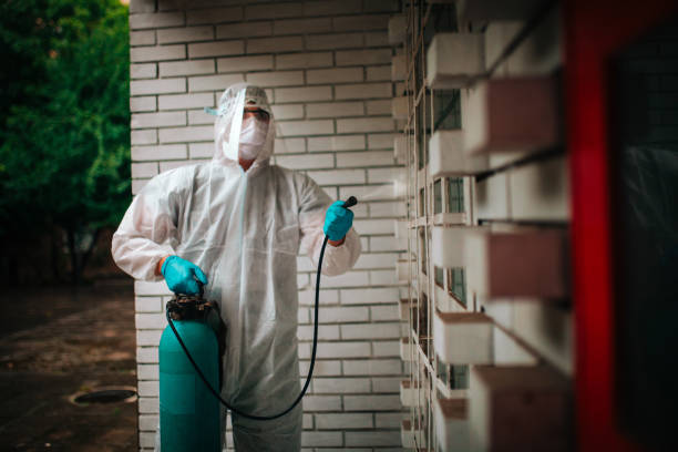 Kissimmee Termite Treatment