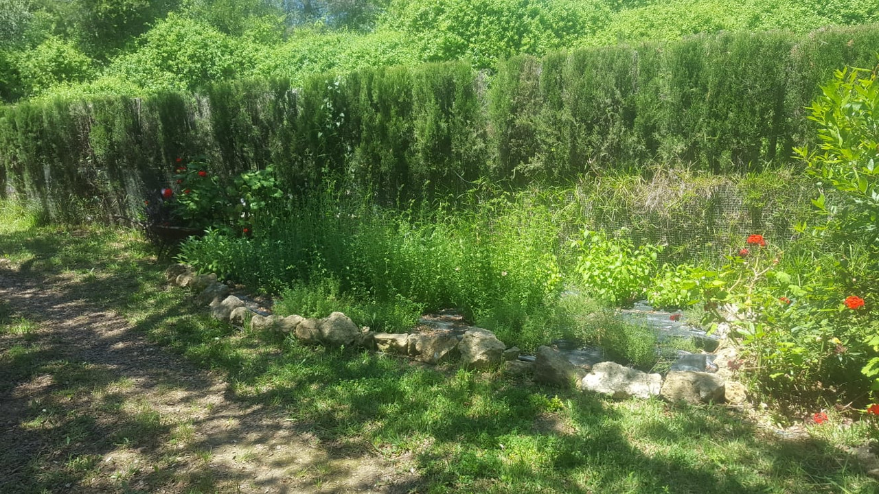 WhatsApp Image 2020-05-16 at 21.32.26 (3)