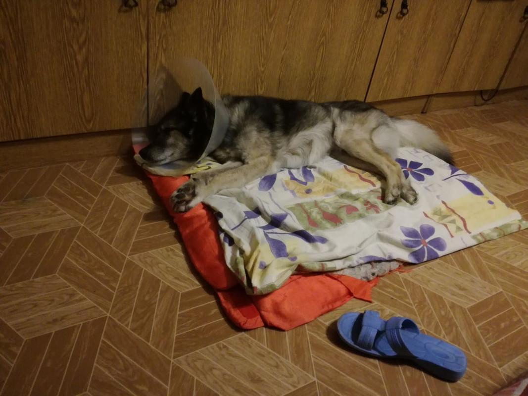 60FE1B14-98E4-474B-8D32-300AAD18BA62