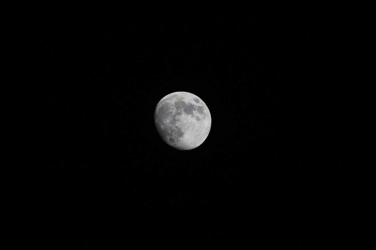 IMG_0523