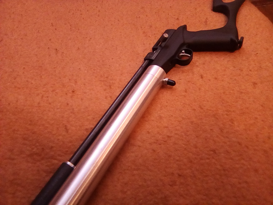 17593182159777598498