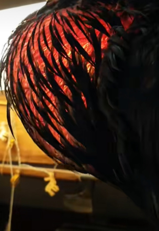 Screenshot_20250320-004049_TikTok