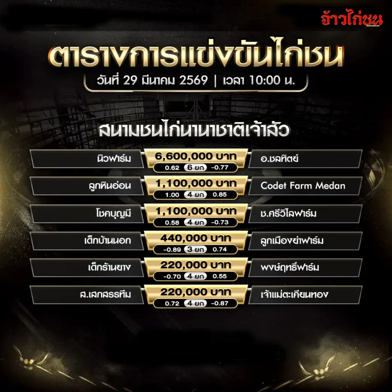 โปรแกรมไก่ชน สนามชนไก่นานาชาติเจ้าสัว วันอาทิตย์ที่ 29 มีนาคม 2569