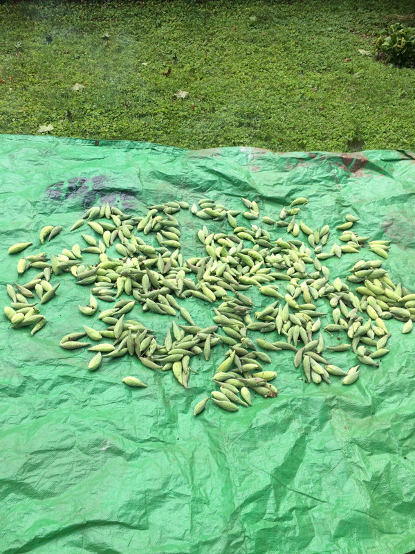 EFAA99BA-1F22-4513-AF44-391124E6D803