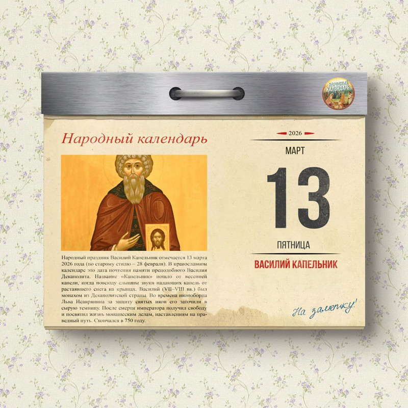 [Изображение: photo-2026-03-11-04-55-17.jpg]