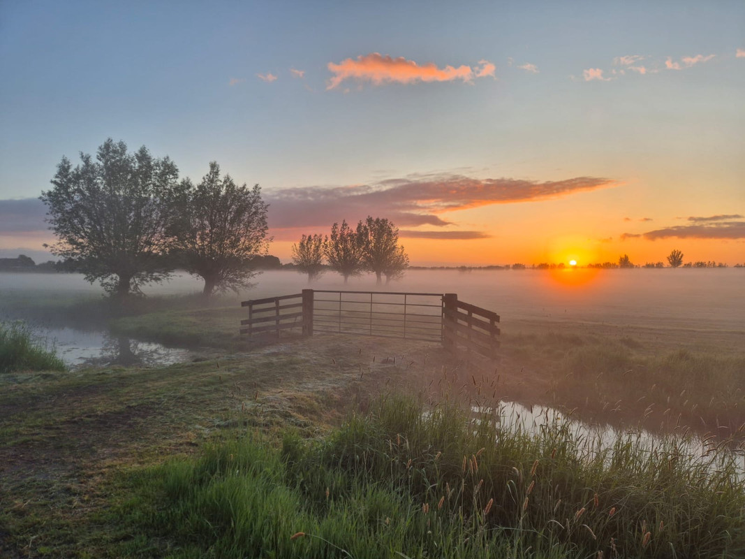 4e986689-0dbb-4347-90cc-c5526b691b7d