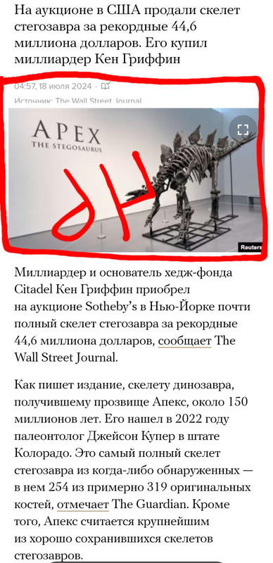 https://i.postimg.cc/jj6X8RNw/image-merge-1721504524388-png.jpg
