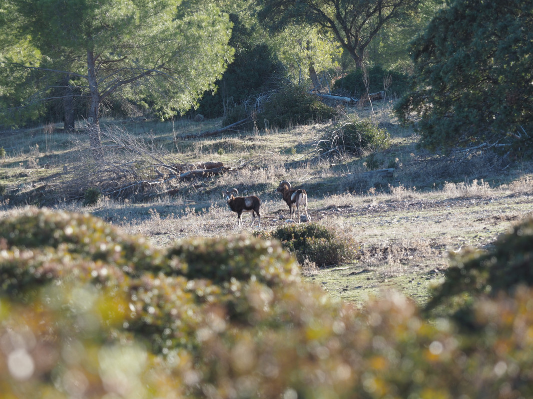 B1A3F959-A889-4981-BD07-45B6DD06AAED