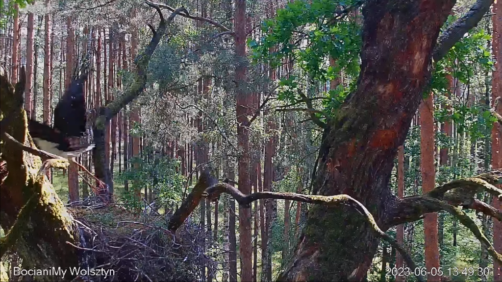 Zrzut ekranu (17235)