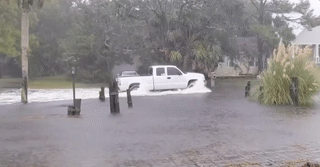 daily-gifdump-3425-18.gif