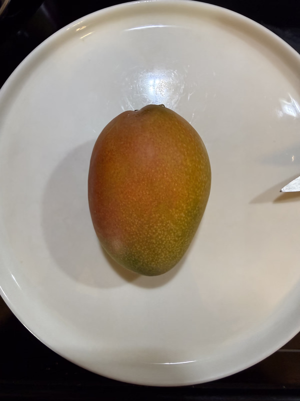 Mango Glenn Plate 526a