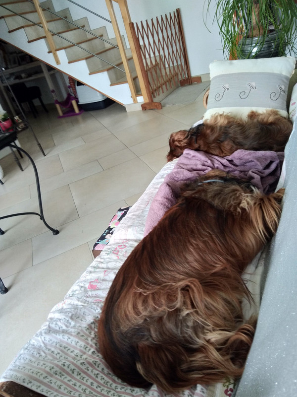 [Image: IMG-20230513-153943.jpg]