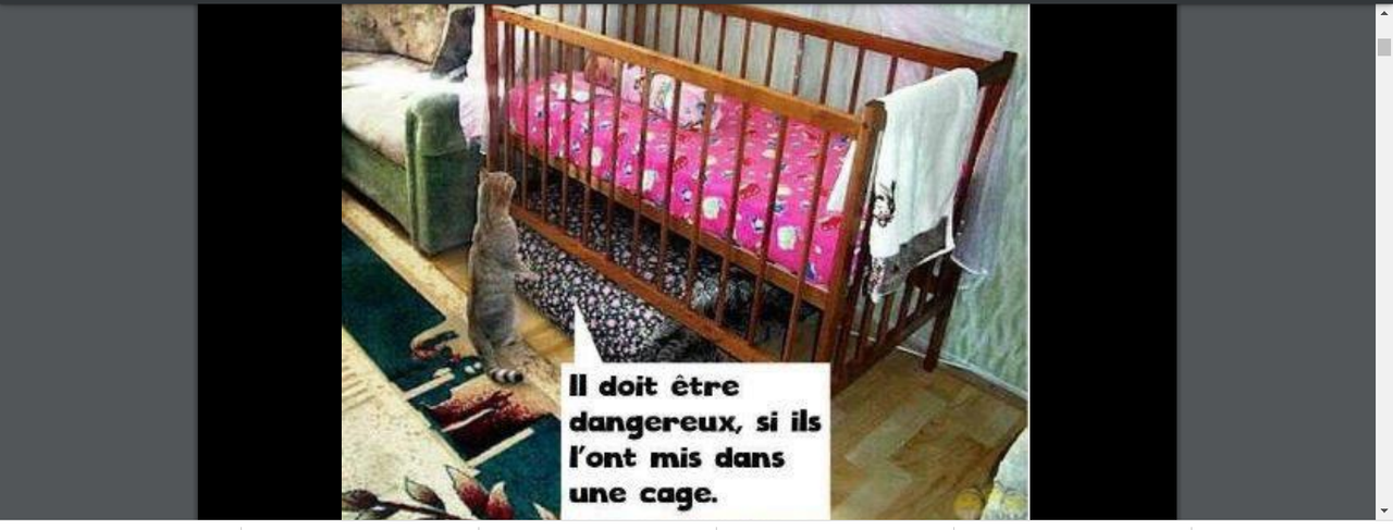 Capture d’écran (119)