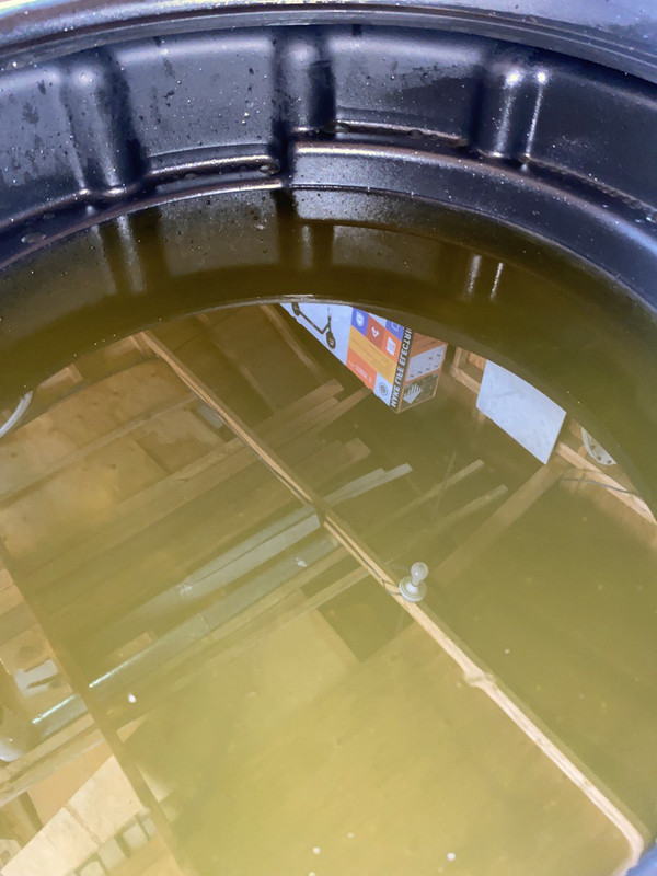 Coolant in Catch Can