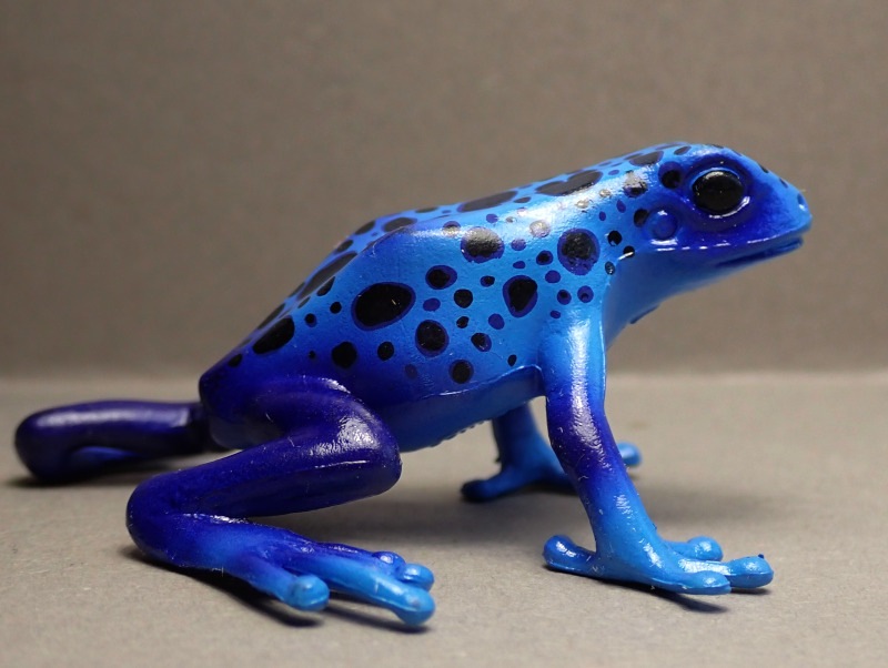 Three new beautyful poison dart frogs from Bullyland :-) Bully68523-Right
