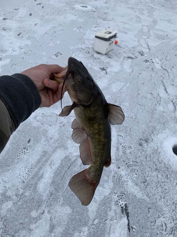 77976DA3-FBD3-48FE-8BCD-B71844D3BEF3