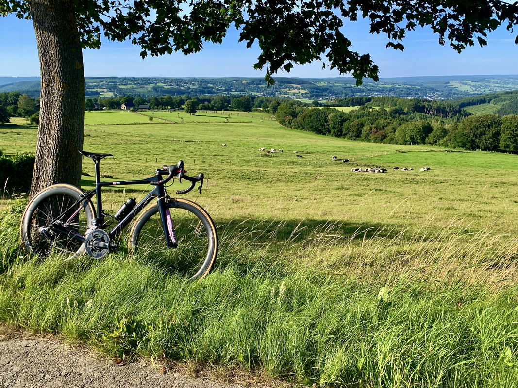 6B0BA73A-39E7-4DDF-95DF-E69D7D286515_1_201_a