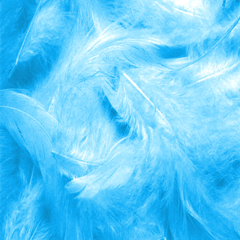 TADD_BlueLove_papiers (12)