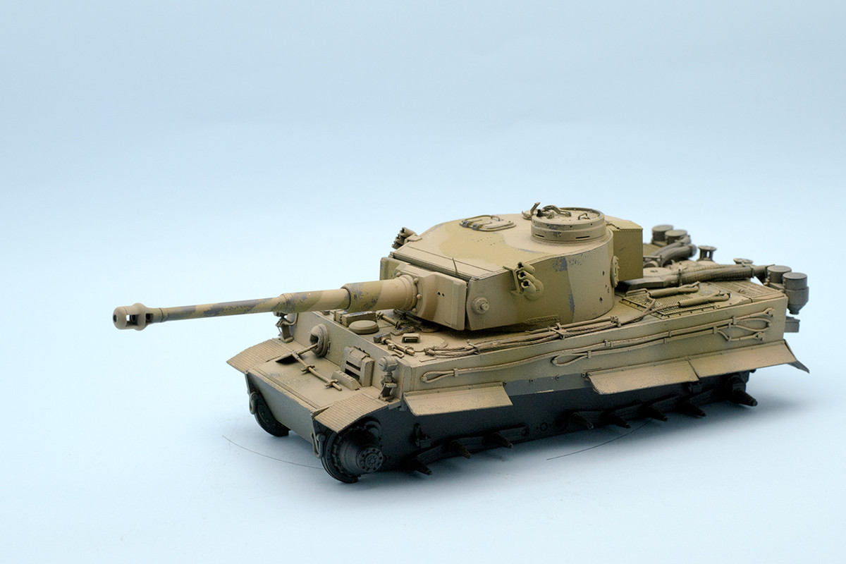 Tiger_10