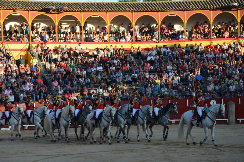 Exhibición Guardia Civil-30-9-2016 - Toledo y sus pueblos-1996/2026 (63)