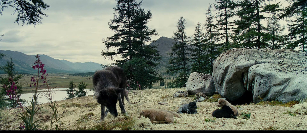 [HR] Loup (2009) [BluRay 1080p x265]_02