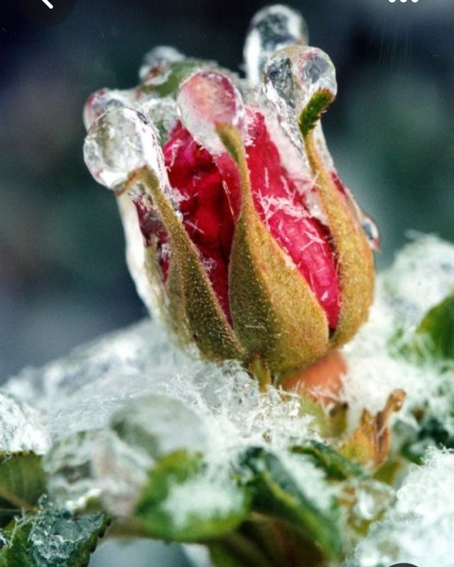 Screenshot_20230508_235737_Pinterest