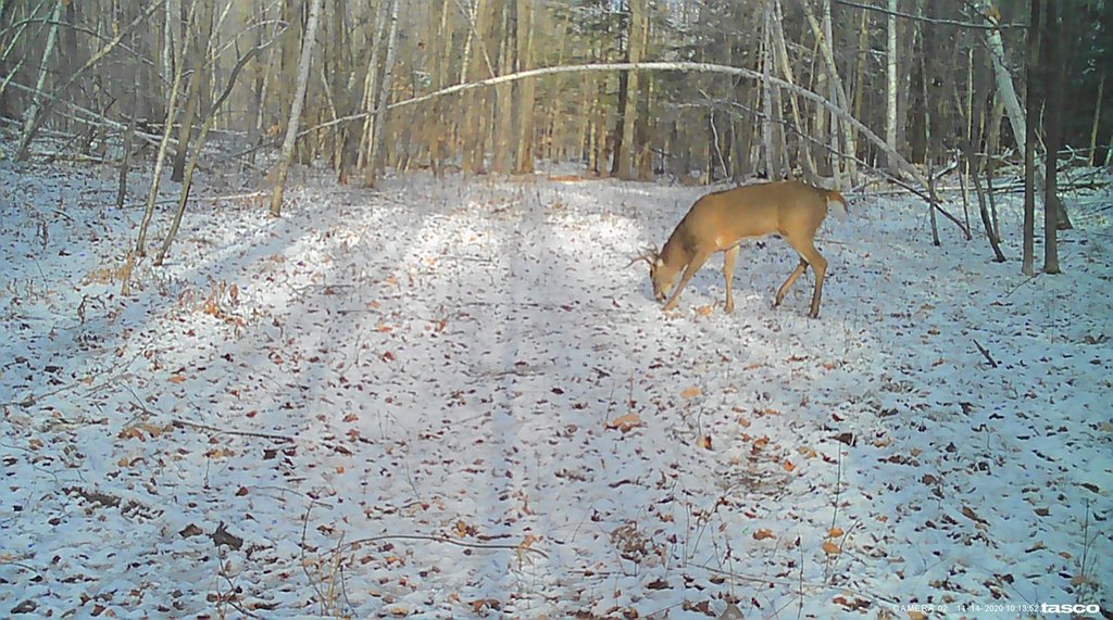 75081B9C-D6FD-4397-A8BC-3046FC326622