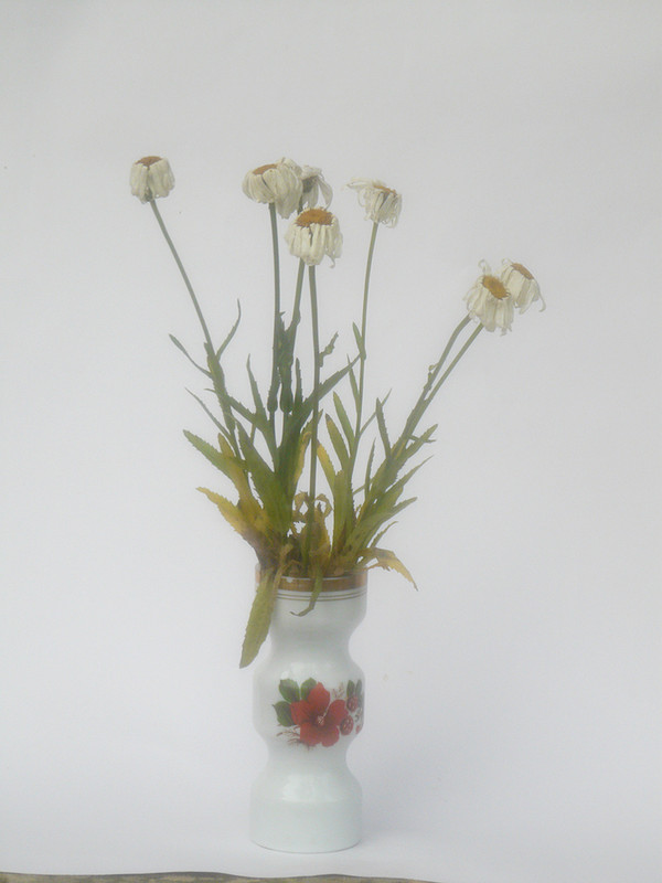 P1060725-0... (1024)