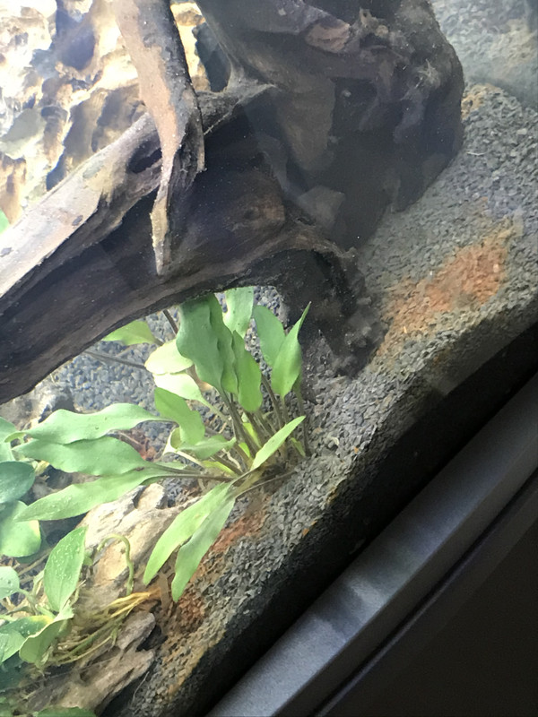 D546BDCF-DB1D-4FC3-AF44-AAC003EF0760