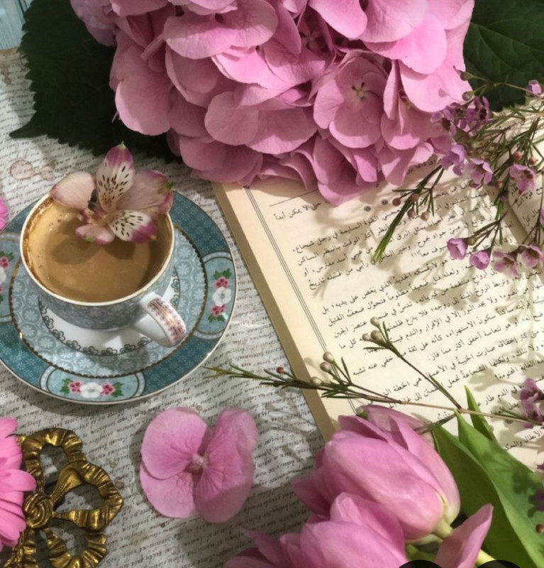 Screenshot_20240722_221918_Pinterest