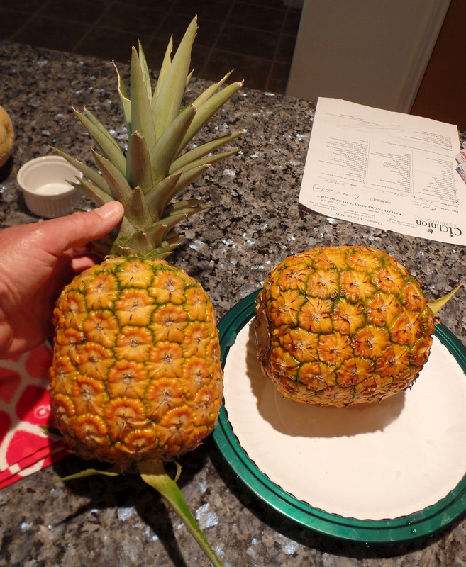 PineapplesJuly31
