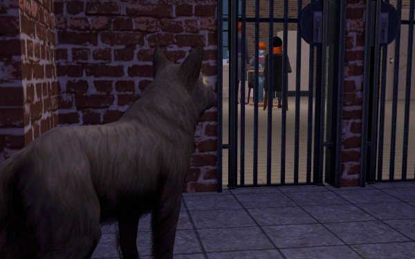 Halloween-asylum-075-600x375