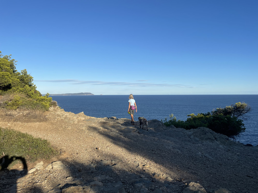 F119A429-879C-4872-9C08-F650D013C71B