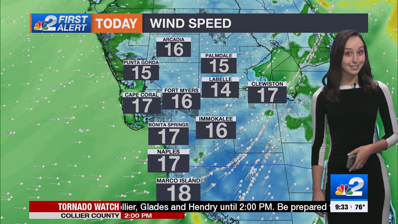 04.30 - 14.00.00 - NBC 2 News Today - Sunday  ᴺᵉʷ..ts_snapshot_00.40.04.068